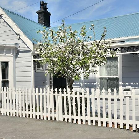 In Dunedin'S Heart, Full House, Full Sun, Full Chill, Why Stay At A Hotel When You Can Afford An Entire House Ngoại thất bức ảnh