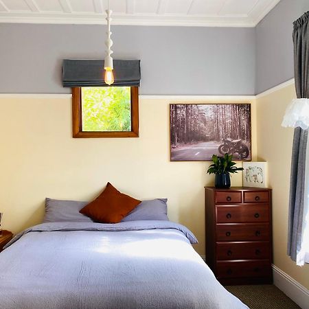 In Dunedin'S Heart, Full House, Full Sun, Full Chill, Why Stay At A Hotel When You Can Afford An Entire House Ngoại thất bức ảnh