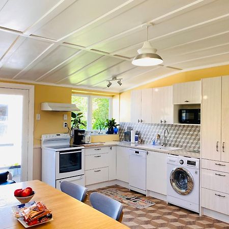 In Dunedin'S Heart, Full House, Full Sun, Full Chill, Why Stay At A Hotel When You Can Afford An Entire House Ngoại thất bức ảnh