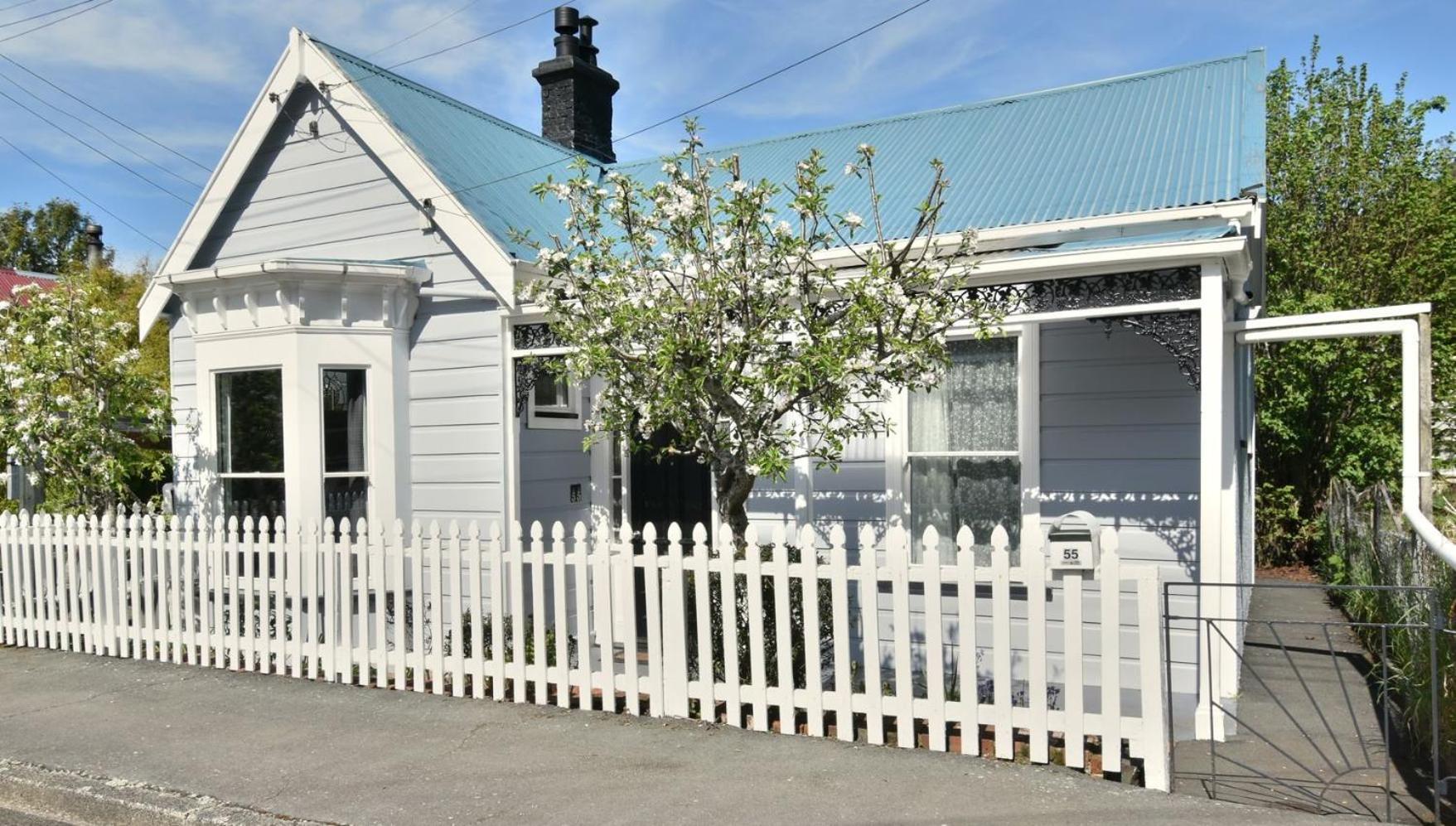 In Dunedin'S Heart, Full House, Full Sun, Full Chill, Why Stay At A Hotel When You Can Afford An Entire House Ngoại thất bức ảnh
