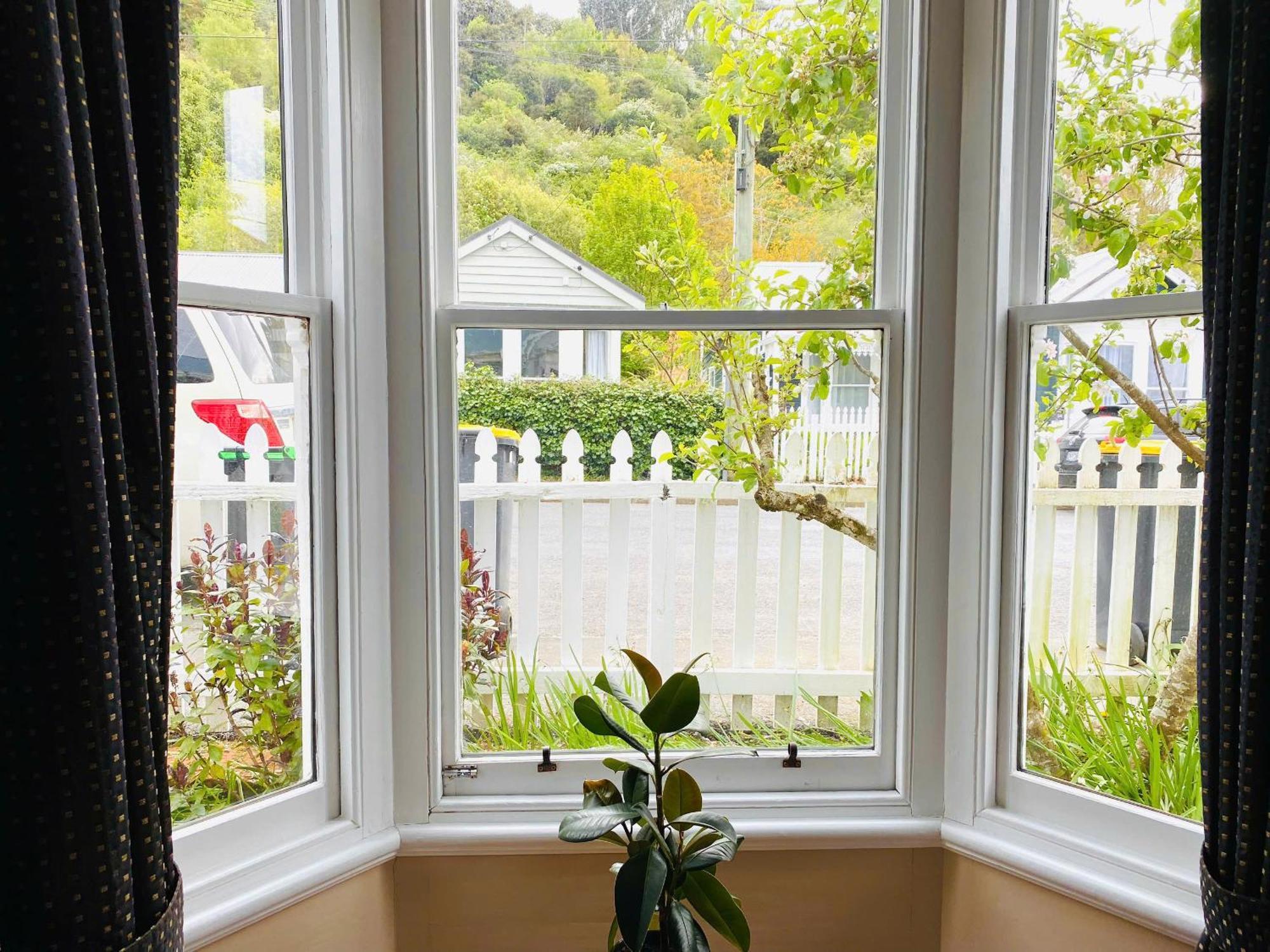 In Dunedin'S Heart, Full House, Full Sun, Full Chill, Why Stay At A Hotel When You Can Afford An Entire House Ngoại thất bức ảnh