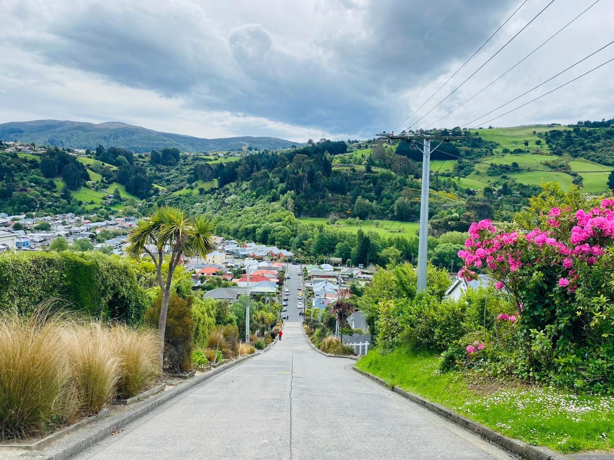 In Dunedin'S Heart, Full House, Full Sun, Full Chill, Why Stay At A Hotel When You Can Afford An Entire House Ngoại thất bức ảnh