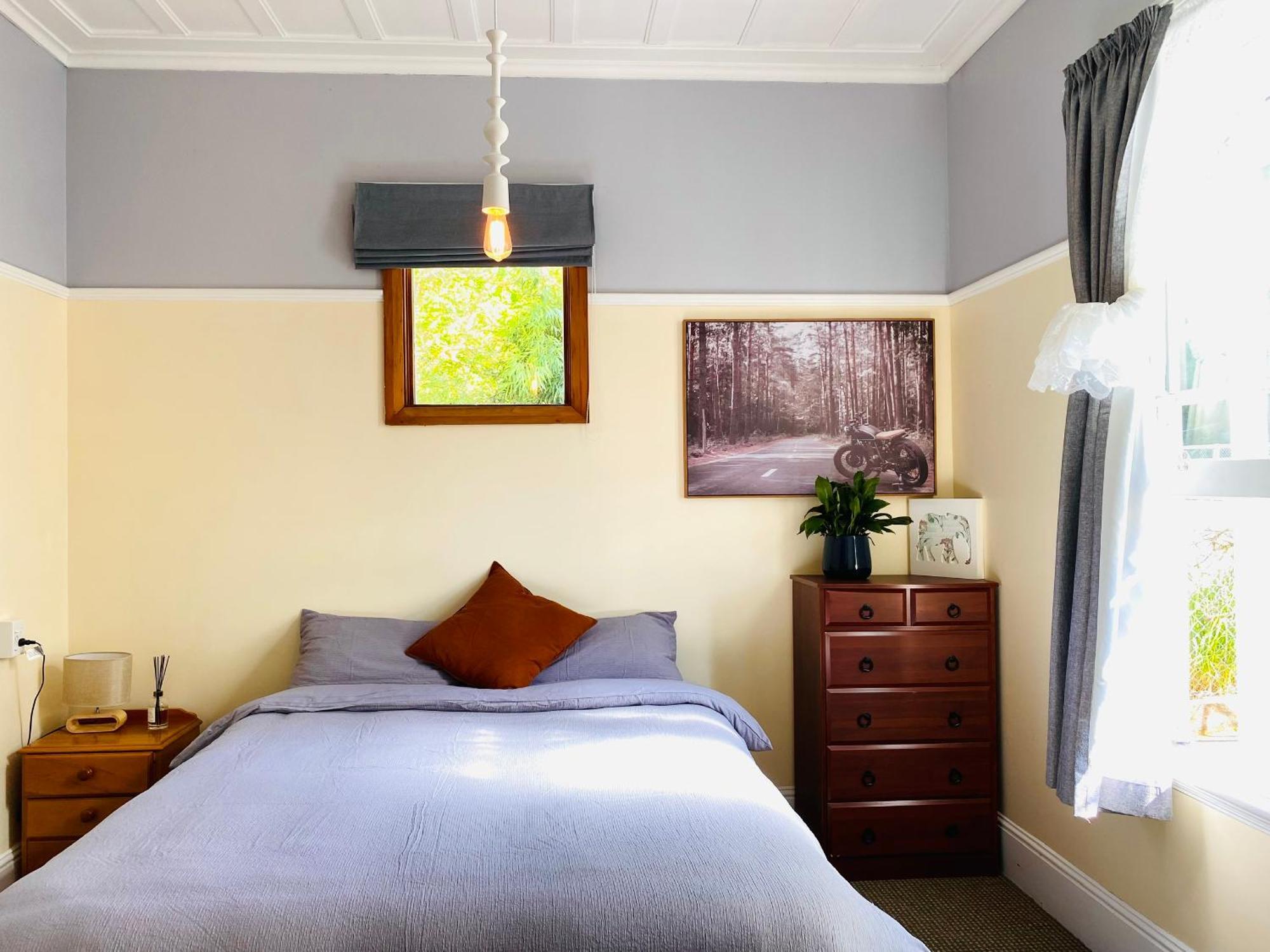 In Dunedin'S Heart, Full House, Full Sun, Full Chill, Why Stay At A Hotel When You Can Afford An Entire House Ngoại thất bức ảnh